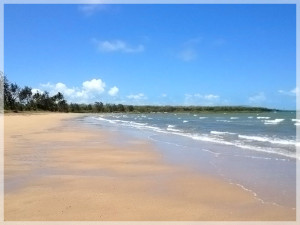 Midge Point Beach